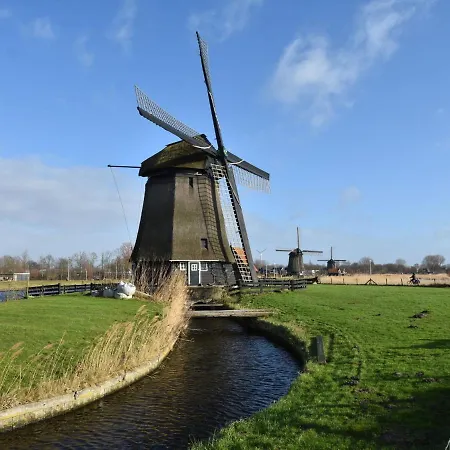 In With Sea * Alkmaar